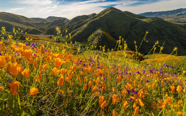 Lake Elsinore Stock Photo